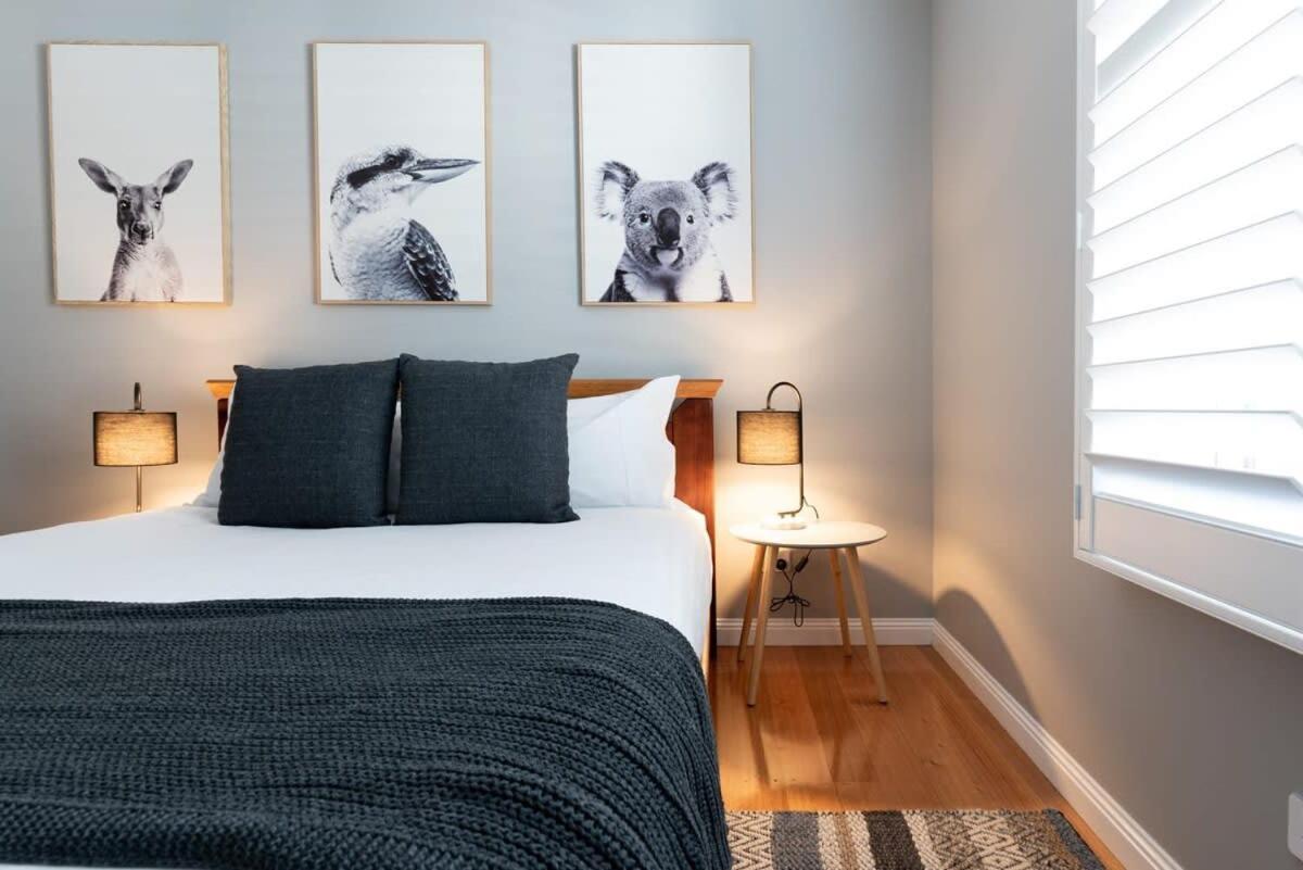 Balfour Cottage Wifi & Parking Лонсестон Экстерьер фото